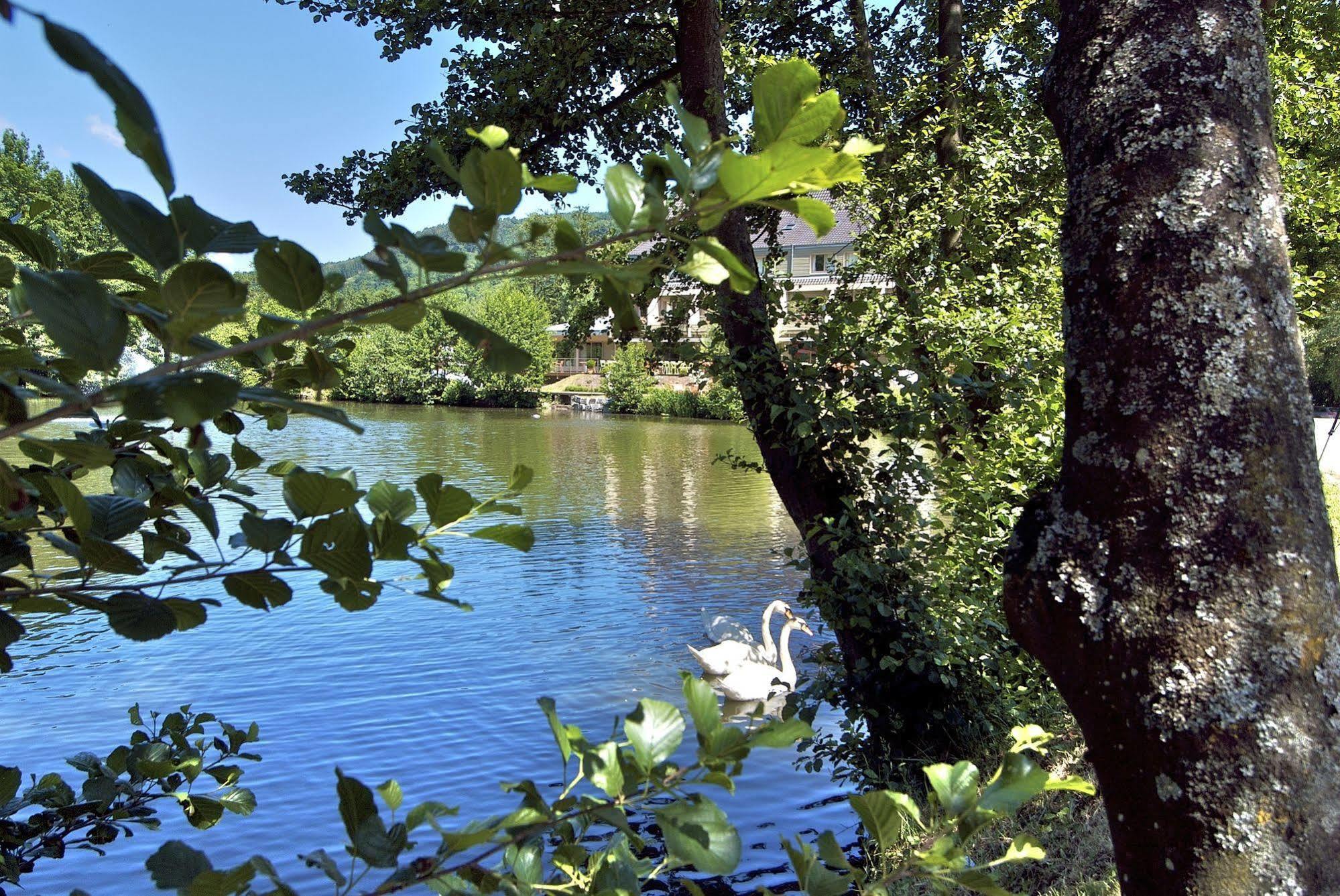 Hotel Les Rives Guebwiller Bagian luar foto